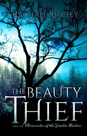 Book cover of The Beauty Thief