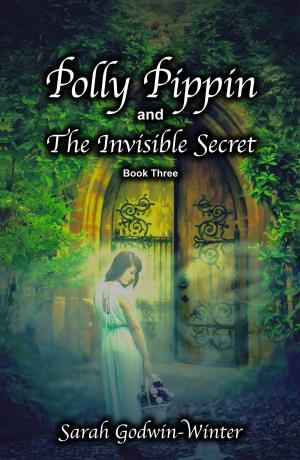 Book cover of Polly Pippin and The Invisible Secret