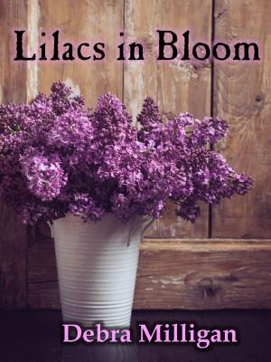 Book cover of Lilacs in Bloom