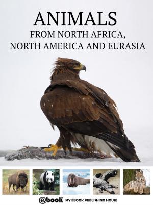 Book cover of Animals from North Africa, North America and Eurasia