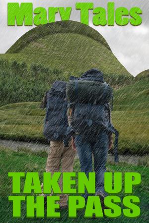 Book cover of Taken Up The Pass: Multiple Partner Erotica