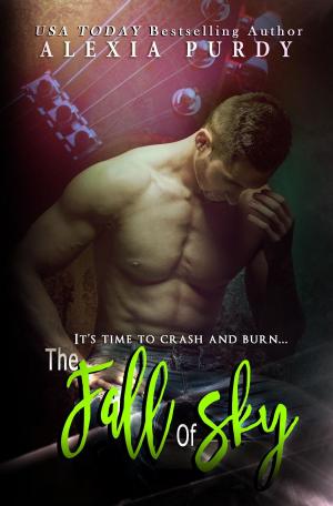Cover of the book The Fall of Sky by Maelani