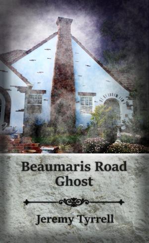 Cover of the book Beaumaris Road Ghost by Peter Singewald