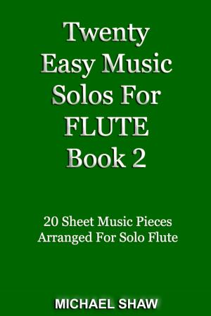 Book cover of Twenty Easy Music Solos For Flute Book 2