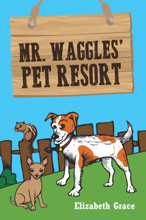 Book cover of Mr. Waggles' Pet Resort