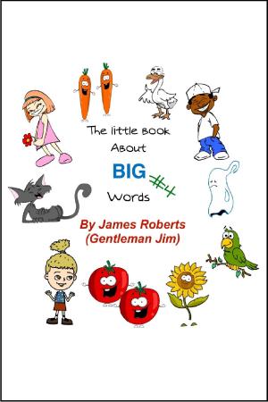 Book cover of The Little Book About BIG Words #4