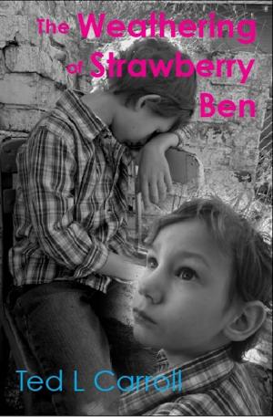Cover of the book The Weathering of Strawberry Ben by Baer Charlton