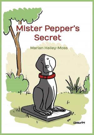 Cover of the book Mister Pepper's Secret by John Peace