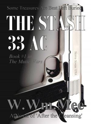 Cover of the book 33 AC The Stash by Max Turner
