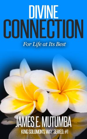 Cover of the book Divine Connection: For Life at Its Best by Thomas J. Simmons