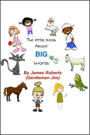Book cover of The Little Book About Big Words #5