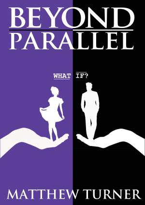Cover of Beyond Parallel