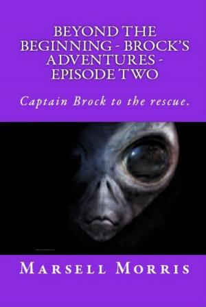 Book cover of Beyond the Beginning: Brock’s Adventures - Episode Two