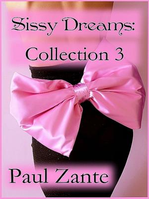 Cover of the book Sissy Dreams: Collection 3 by Paul Zante