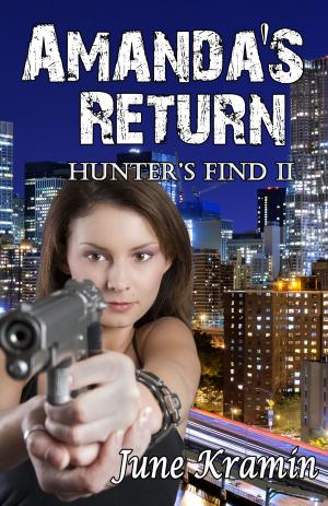 Cover of the book Amanda's Return by Harper Nevermind