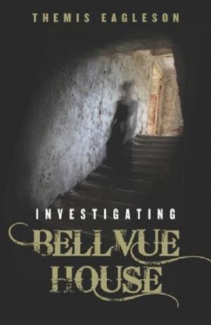 Cover of the book Investigating Bellvue House by C.C. Edmonston