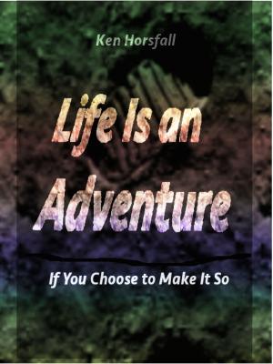 Cover of the book Life Is an Adventure...If You Choose to Make It So by Allison Rochel