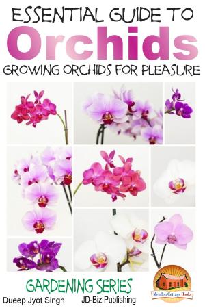 Book cover of Essential Guide to Orchids: Growing Orchids for Pleasure