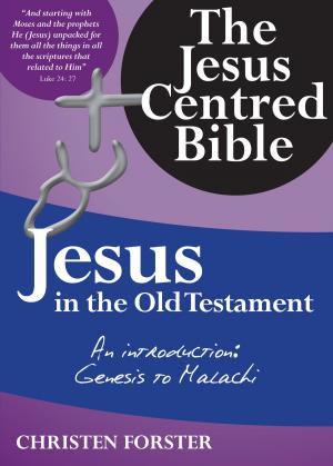 Book cover of Jesus in the Old Testament: An Introduction: Genesis to Malachi