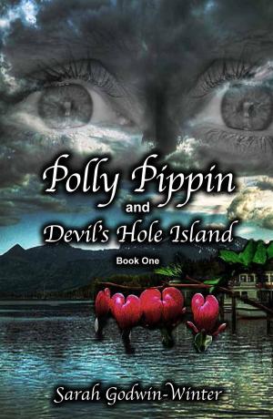 Book cover of Polly Pippin and Devil's Hole Island