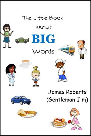 Book cover of The Little Book About Big Words