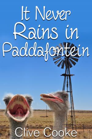 Book cover of It Never Rains in Paddafontein