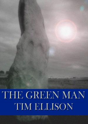 Cover of the book The Green Man by Darby K. Michaels