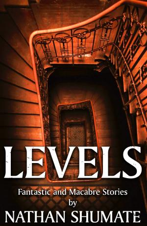 Cover of Levels: Fantastic and Macabre Stories