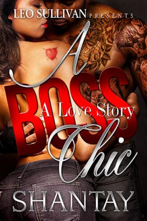 Cover of the book A Boss Chic: A Love Story by Mary Martinez