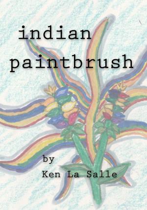 Book cover of Indian Paintbrush