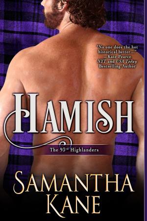 bigCover of the book Hamish by 