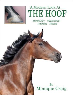 Cover of the book A Modern Look at the Hoof by Marv Walker