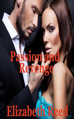Cover of the book Passion and Revenge by J.A. Hornbuckle