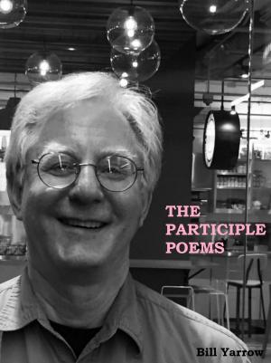 Book cover of The Participle Poems