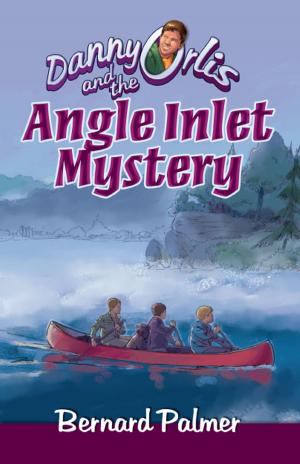 Cover of Danny Orlis and the Angle Inlet Mystery