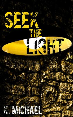 Cover of the book Seek the Light by John Nardizzi