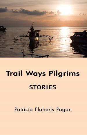 Cover of the book Trail Ways Pilgrims: Stories by Allie McCarthy