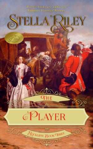 Cover of the book The Player by Jon Michael Riley