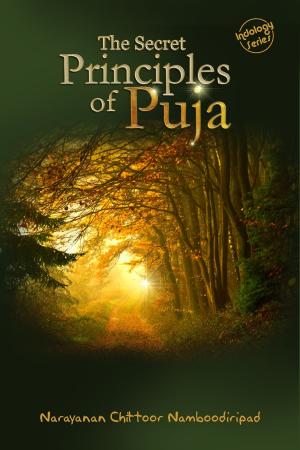 Cover of The Secret Principles of Puja