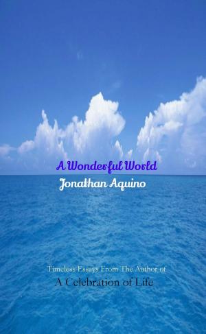 Book cover of A Wonderful World