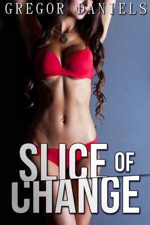 Book cover of Slice of Change