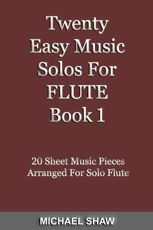 Book cover of Twenty Easy Music Solos For Flute Book 1