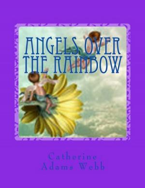 Cover of the book Angels over the Rainbow by John Bryson