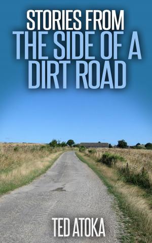 Cover of the book Stories from the Side of a Dirt Road by Bryan Knower
