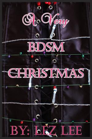Book cover of A Very BDSM Christmas