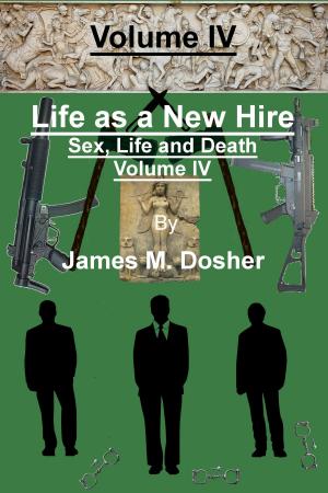 Cover of the book Life as a New Hire, Sex, Life and Death, Volume IV by Melissa Bitter