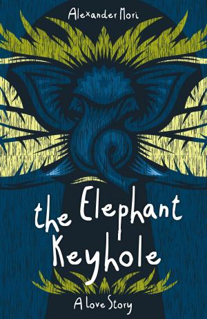 Book cover of The Elephant Keyhole