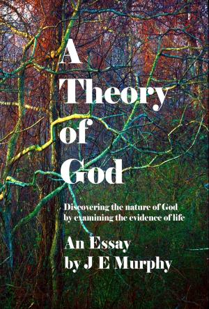 Cover of A Theory of God: Discovering the nature of God by examining the evidence of Life