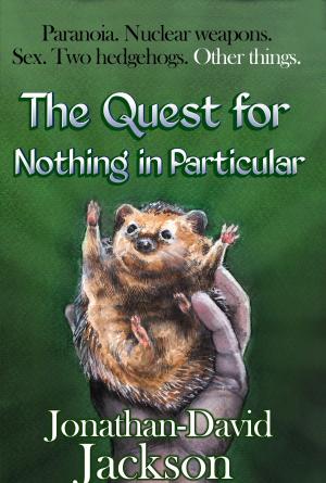 bigCover of the book The Quest for Nothing in Particular by 