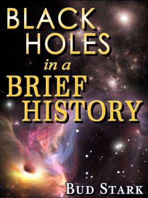 Cover of the book Black Holes In A Brief History by Carol Hiltner